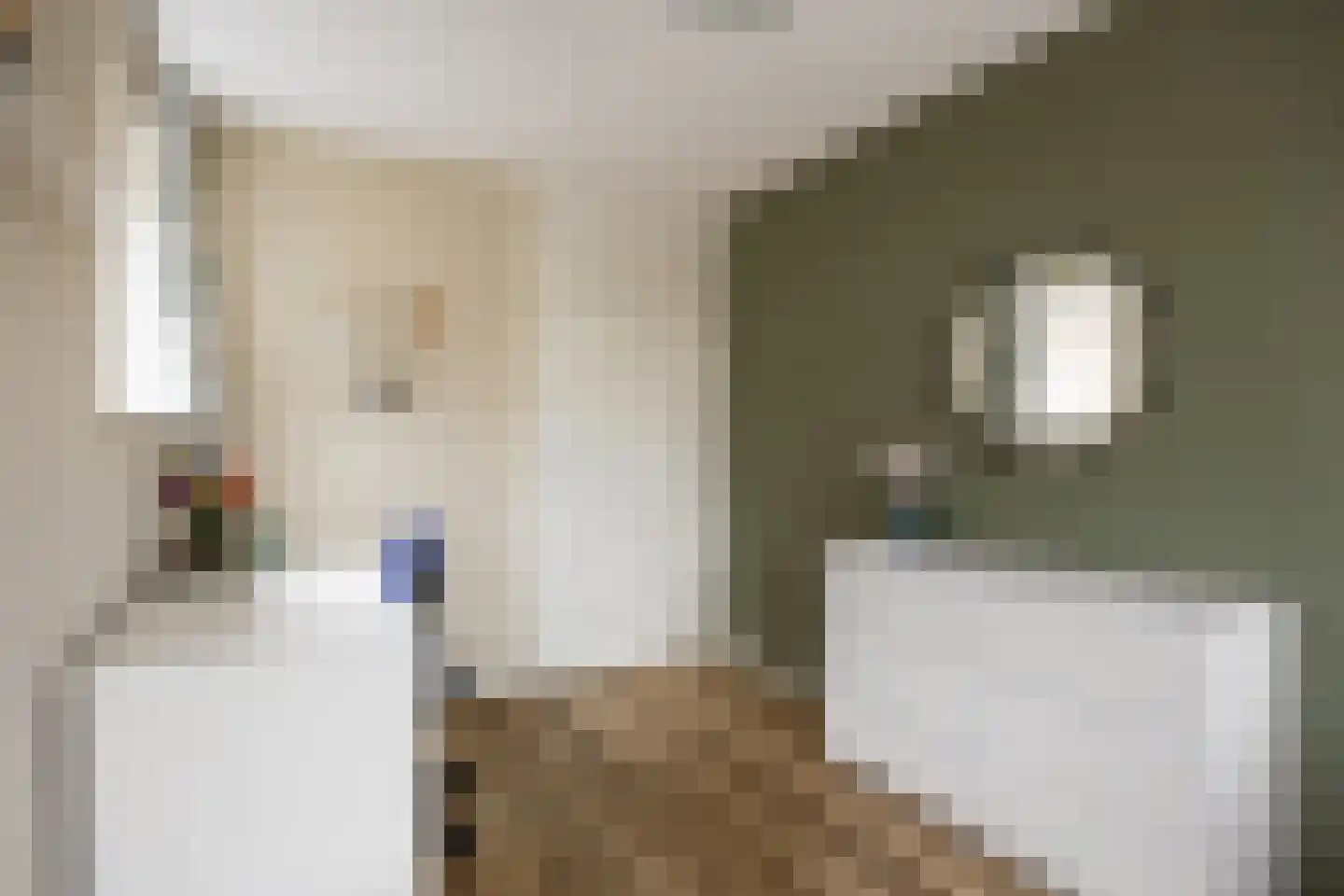 Kraak 8 Zuidhorn thumbnail 25