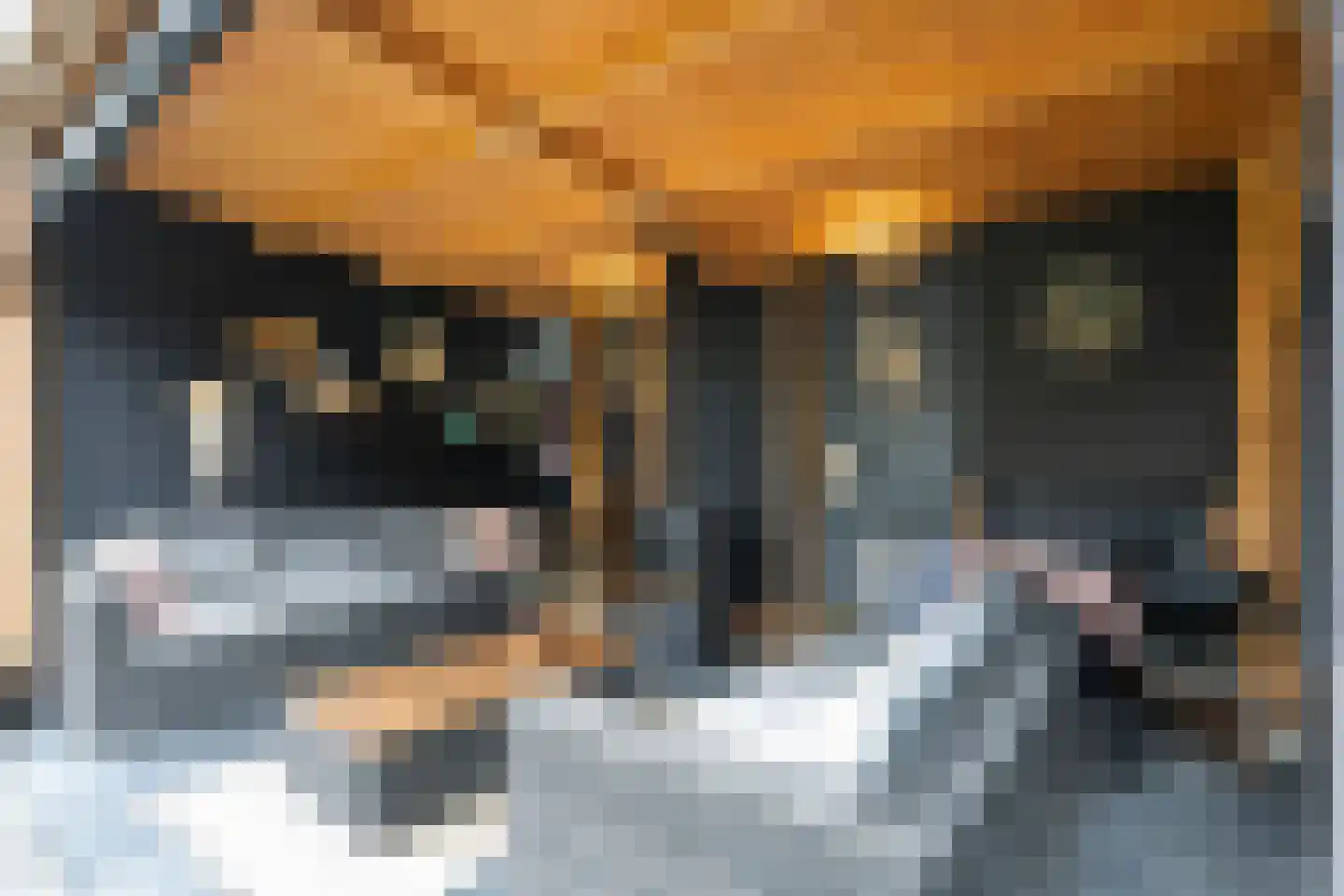 Kraak 8 Zuidhorn thumbnail 39