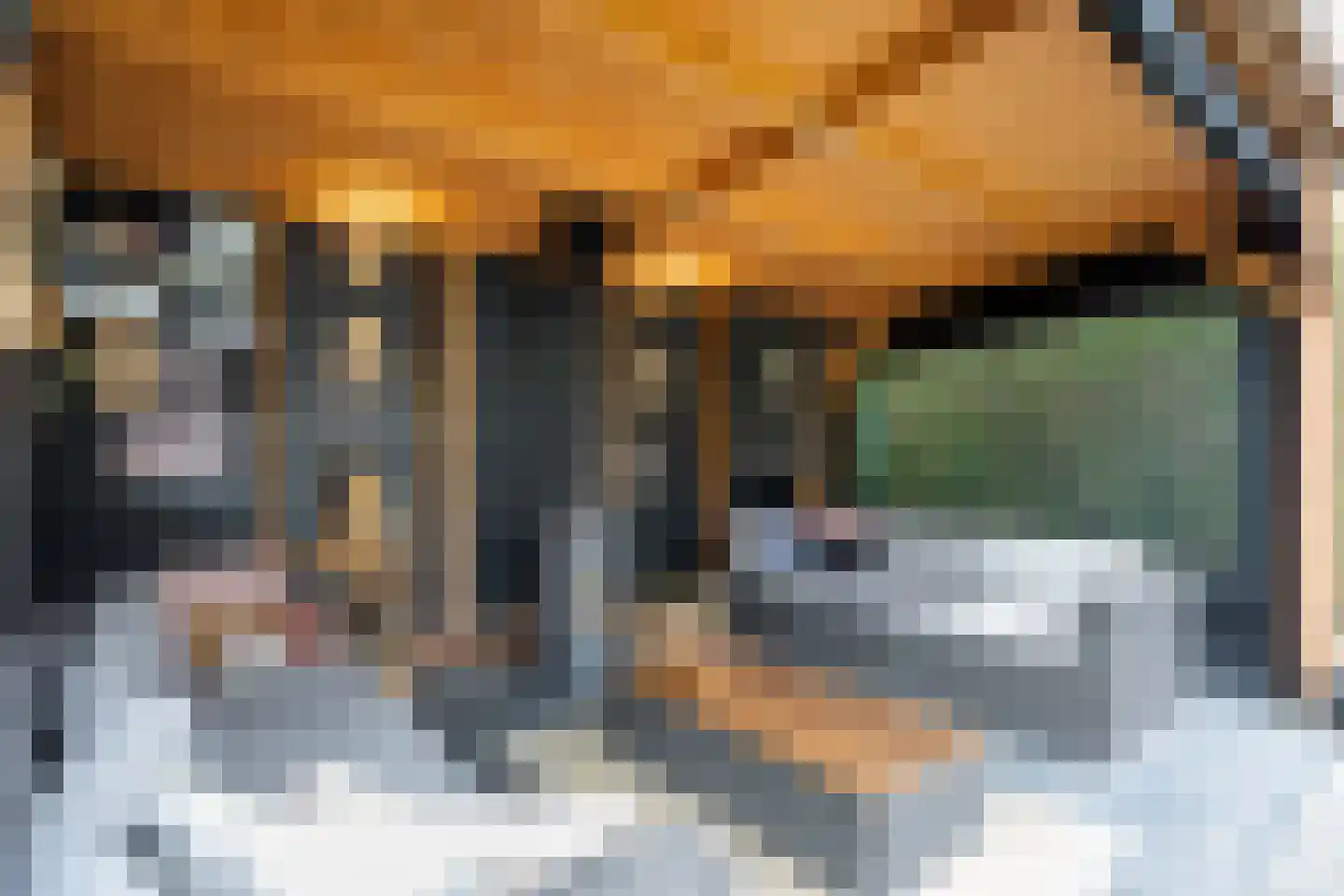 Kraak 8 Zuidhorn thumbnail 40