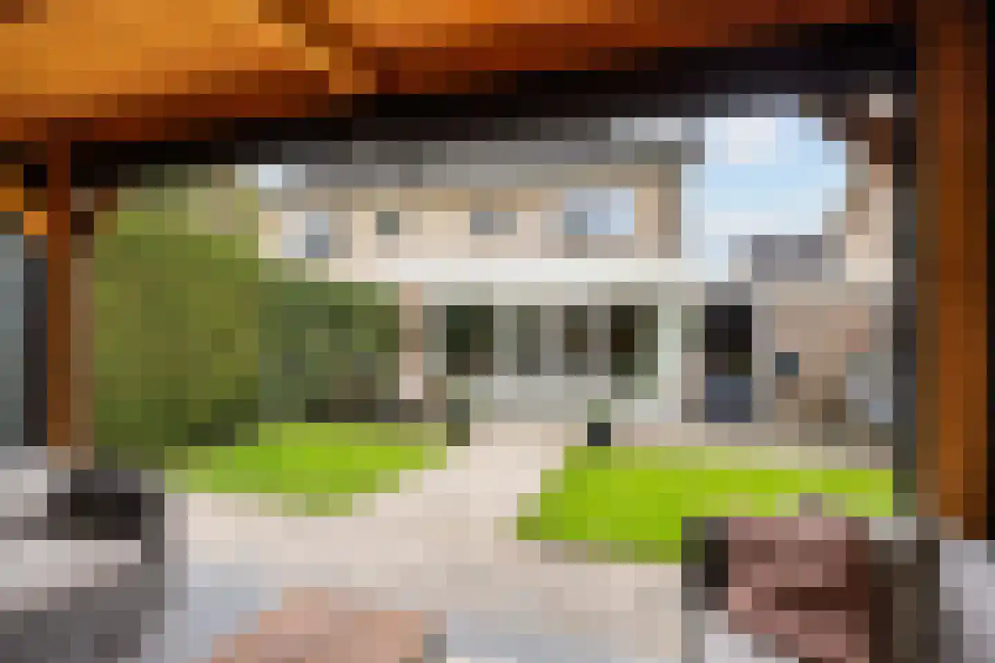 Kraak 8 Zuidhorn thumbnail 41