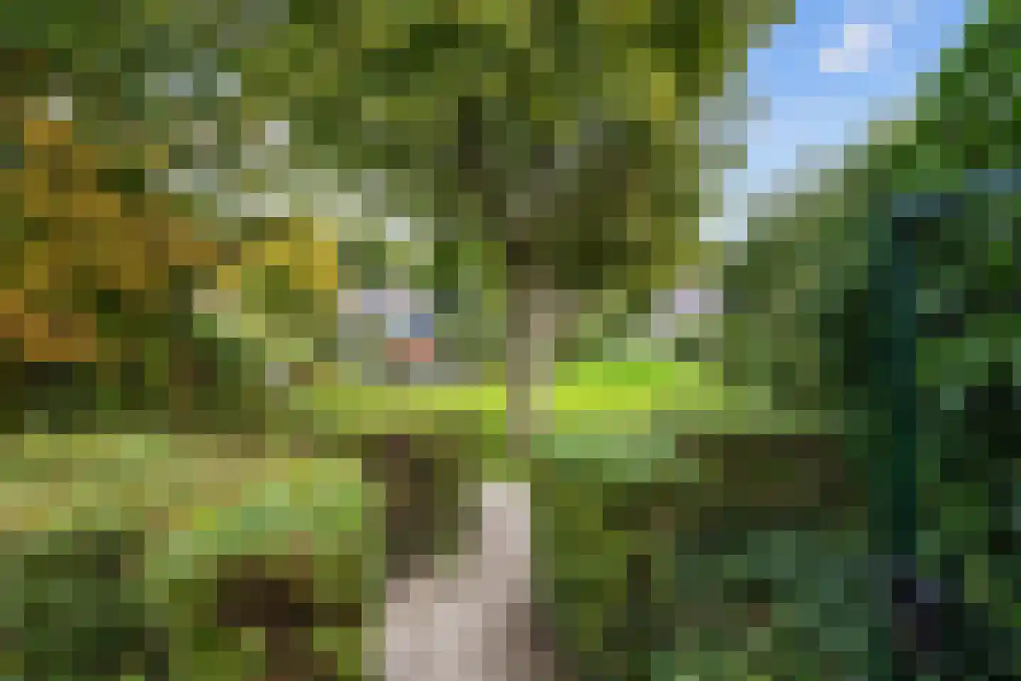 Kraak 8 Zuidhorn thumbnail 44