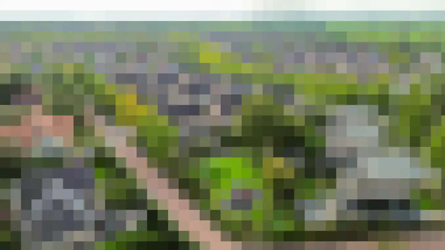 Kraak 8 Zuidhorn thumbnail 50