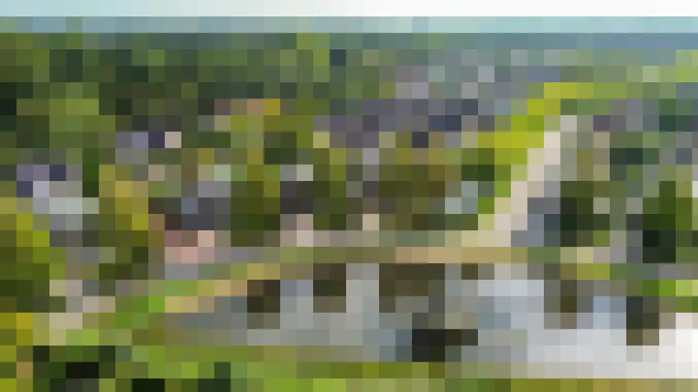 Kraak 8 Zuidhorn thumbnail 51