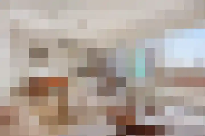 Kraakselaan 113 Doesburg thumbnail 12