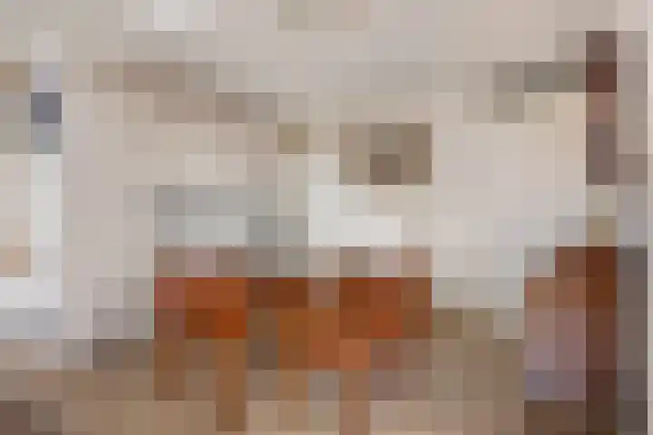 Kraakselaan 113 Doesburg thumbnail 13
