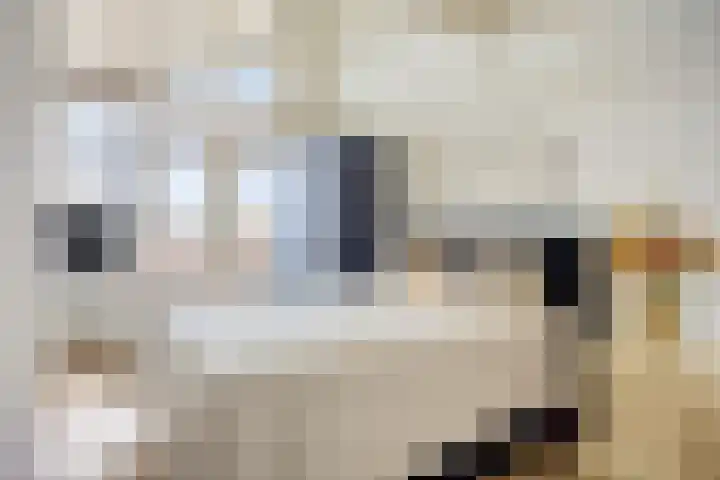 Kraakselaan 113 Doesburg thumbnail 20