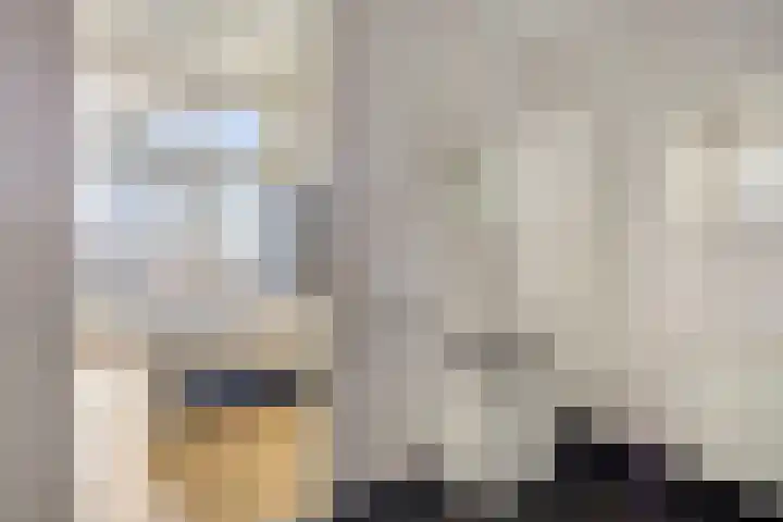 Kraakselaan 113 Doesburg thumbnail 24