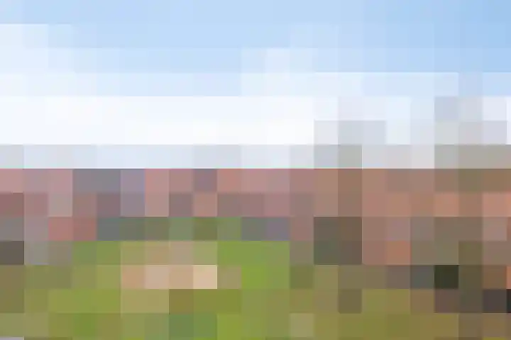 Kraakselaan 113 Doesburg thumbnail 25