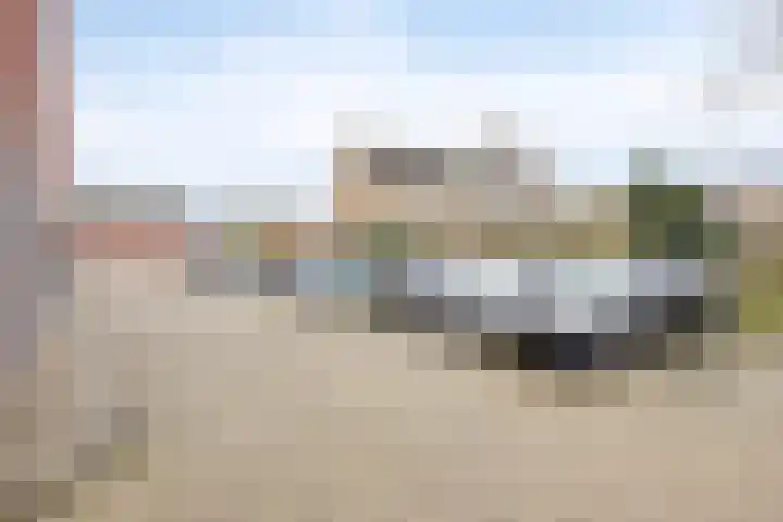 Kraakselaan 113 Doesburg thumbnail 27
