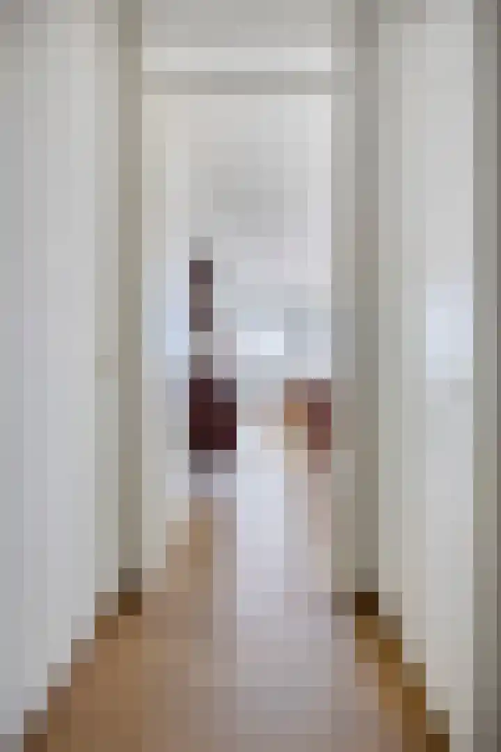 Kraakselaan 113 Doesburg thumbnail 8