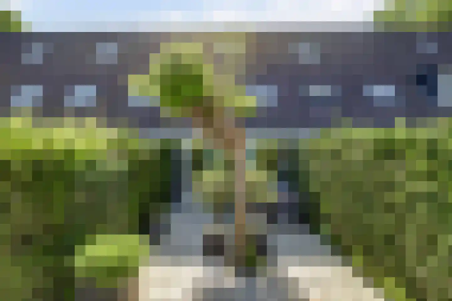 Kraakstraat 105 Zaandam thumbnail 47