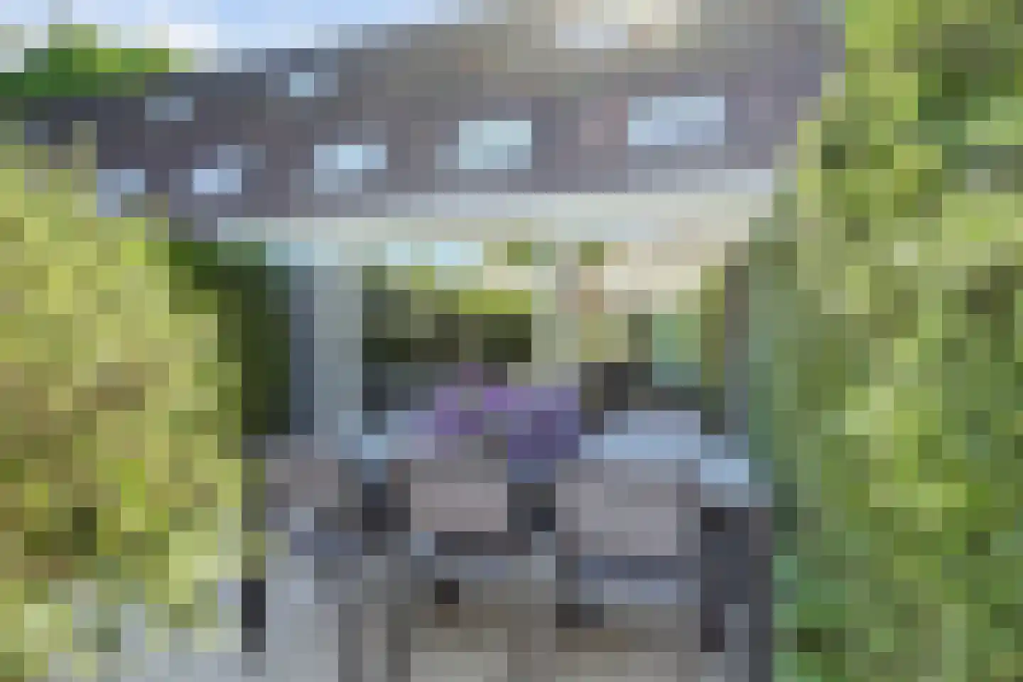 Kraakstraat 105 Zaandam thumbnail 49
