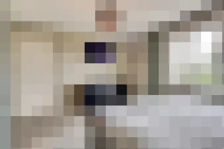 Kraakstraat 22 Hunsel thumbnail 21