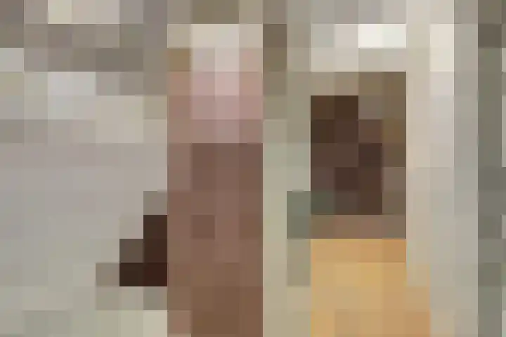 Kraakstraat 22 Hunsel thumbnail 29