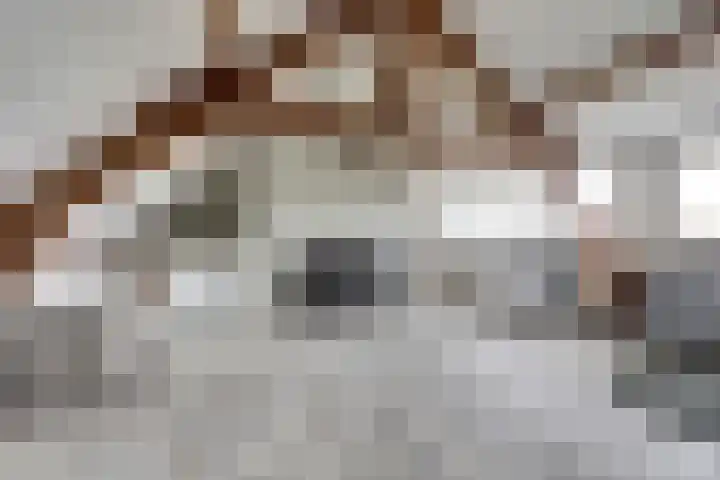 Kraakstraat 22 Hunsel thumbnail 32