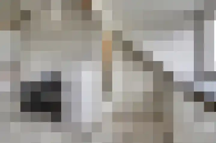 Kraakstraat 22 Hunsel thumbnail 33