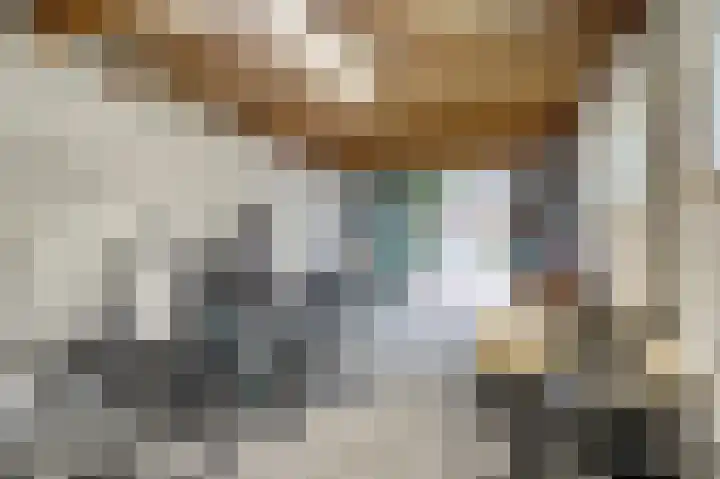 Kraakstraat 22 Hunsel thumbnail 34