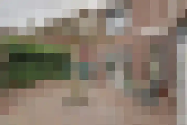 Kraakstraat 22 Hunsel thumbnail 36