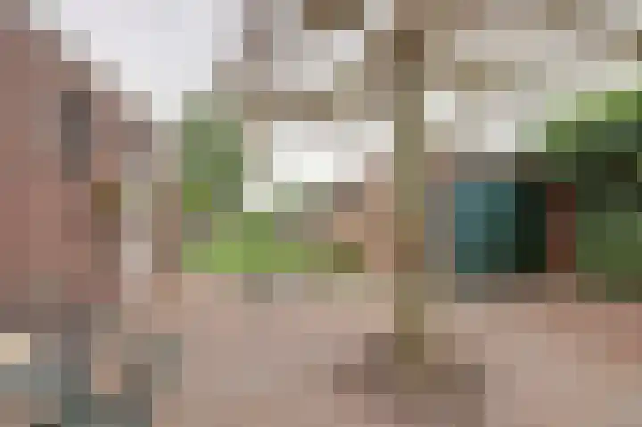 Kraakstraat 22 Hunsel thumbnail 38