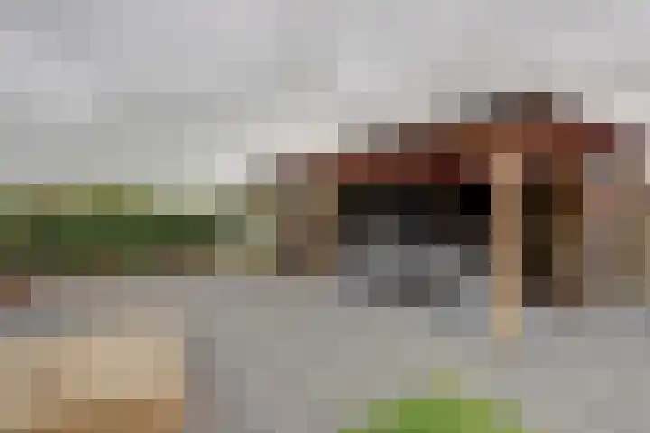 Kraakstraat 22 Hunsel thumbnail 41