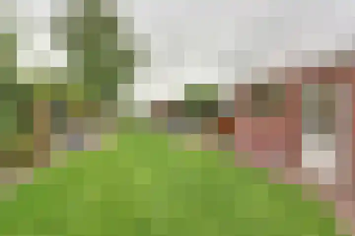 Kraakstraat 22 Hunsel thumbnail 5