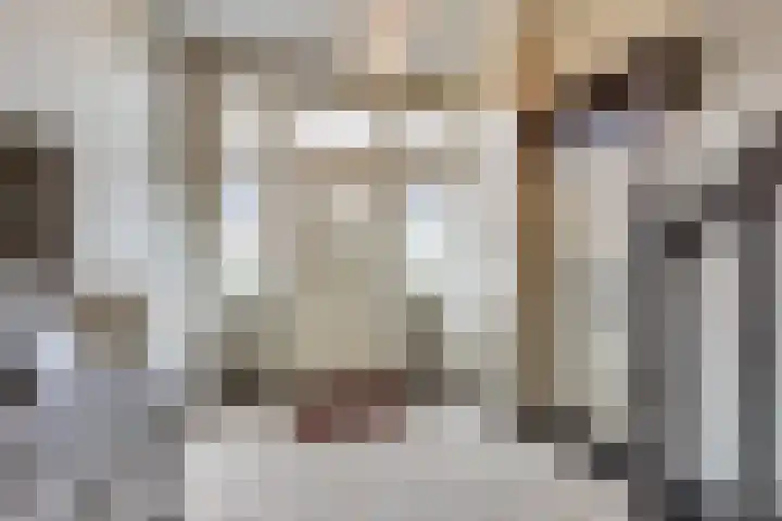 Kraakstraat 22 Hunsel thumbnail 8