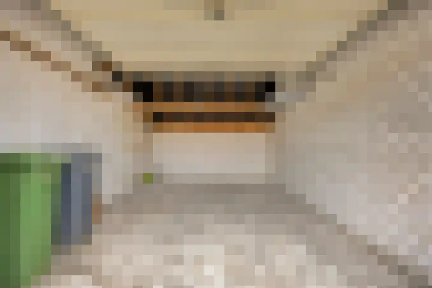 Kraakstraat 8 b Hunsel thumbnail 34