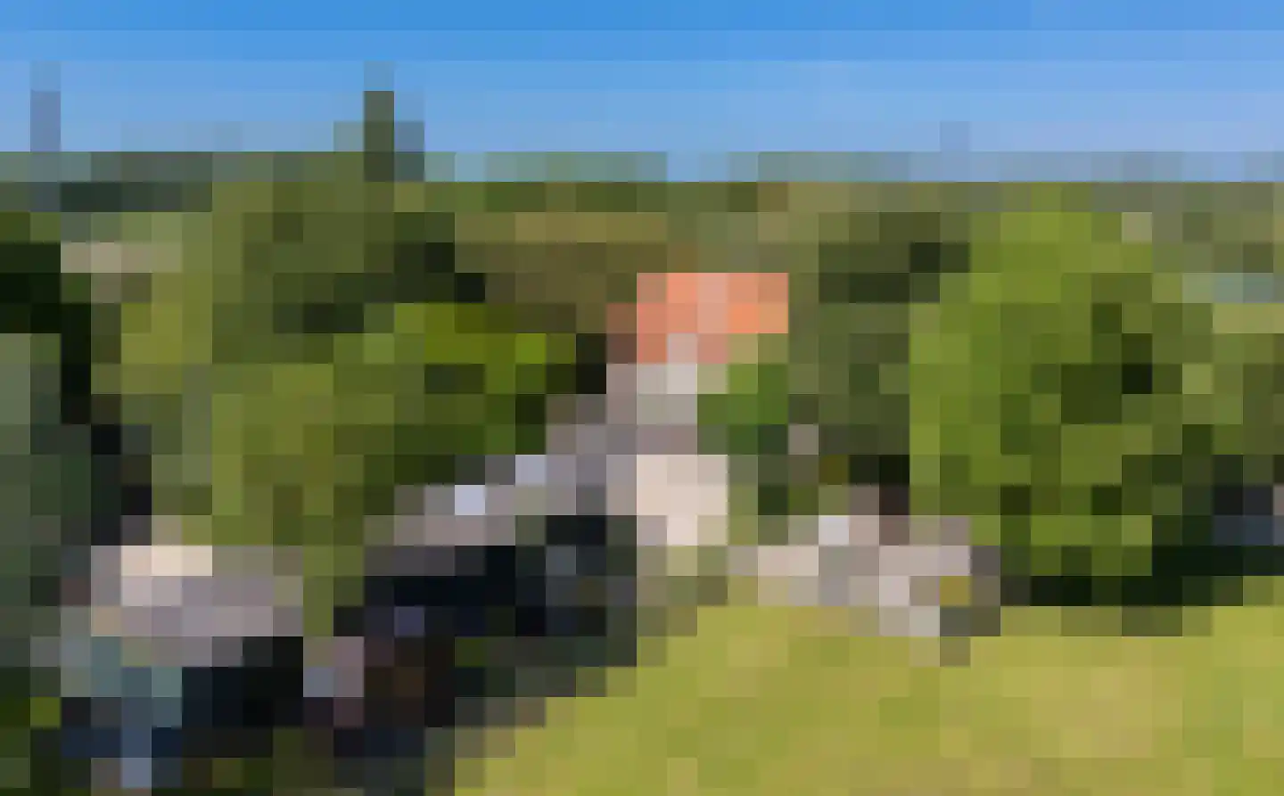 Kraakweg 2 Zwartewaal thumbnail 12
