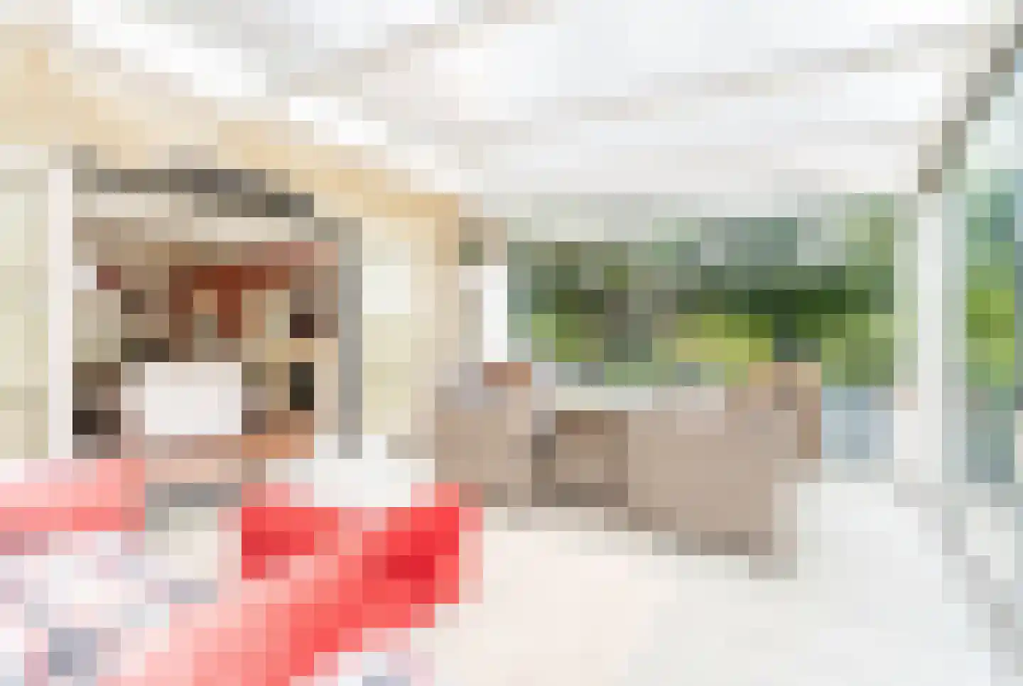 Kraakweg 2 Zwartewaal thumbnail 25