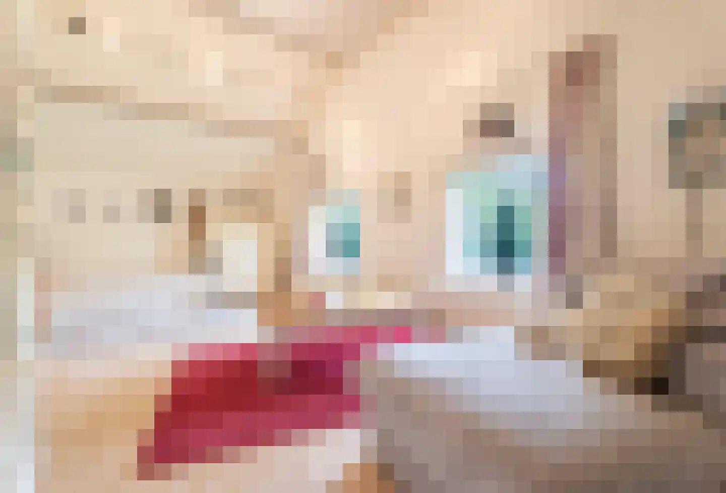 Kraakweg 2 Zwartewaal thumbnail 38