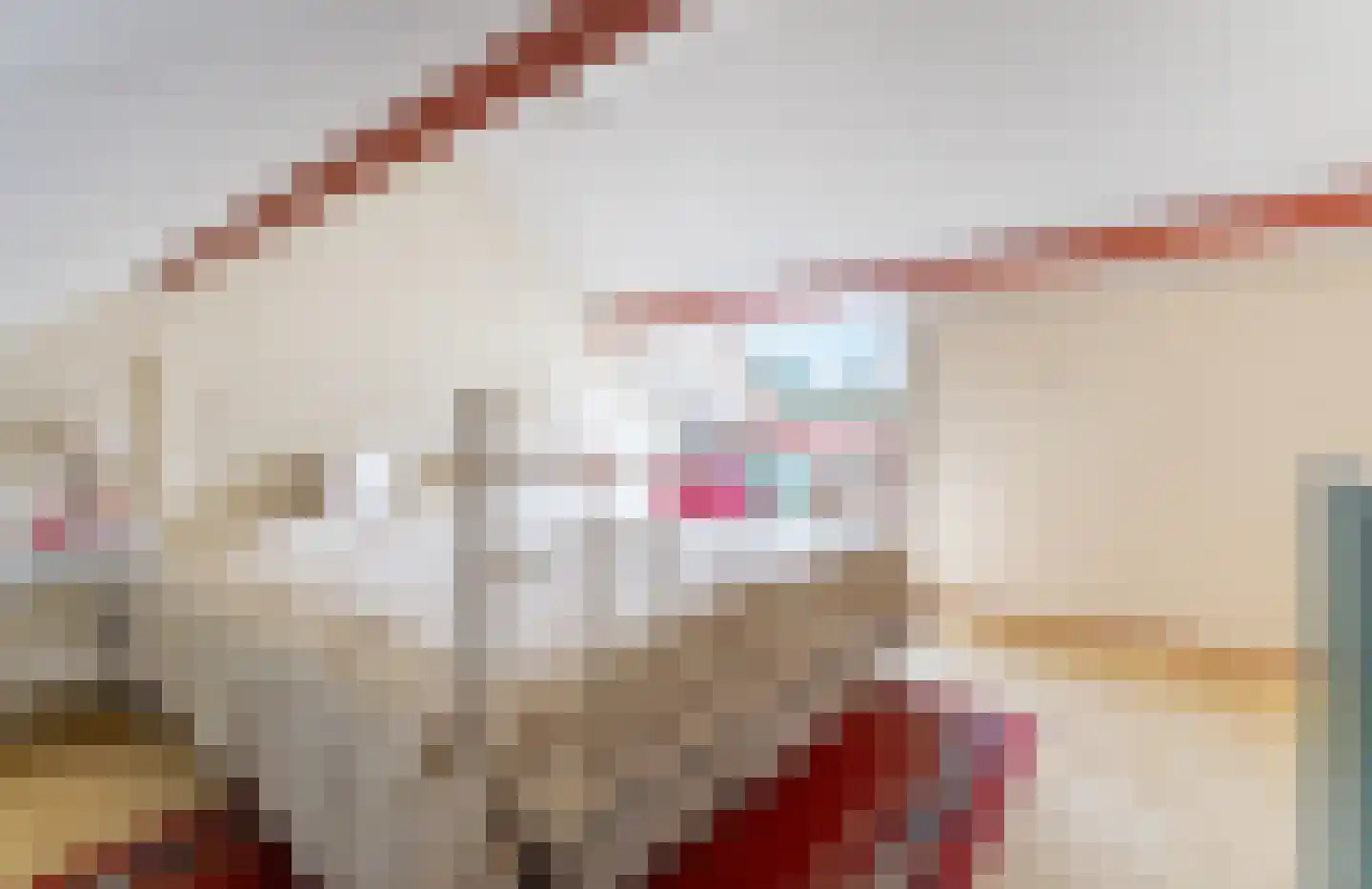 Kraakweg 2 Zwartewaal thumbnail 47