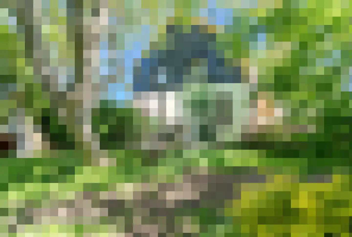 Kraakweg 2 Zwartewaal thumbnail 48