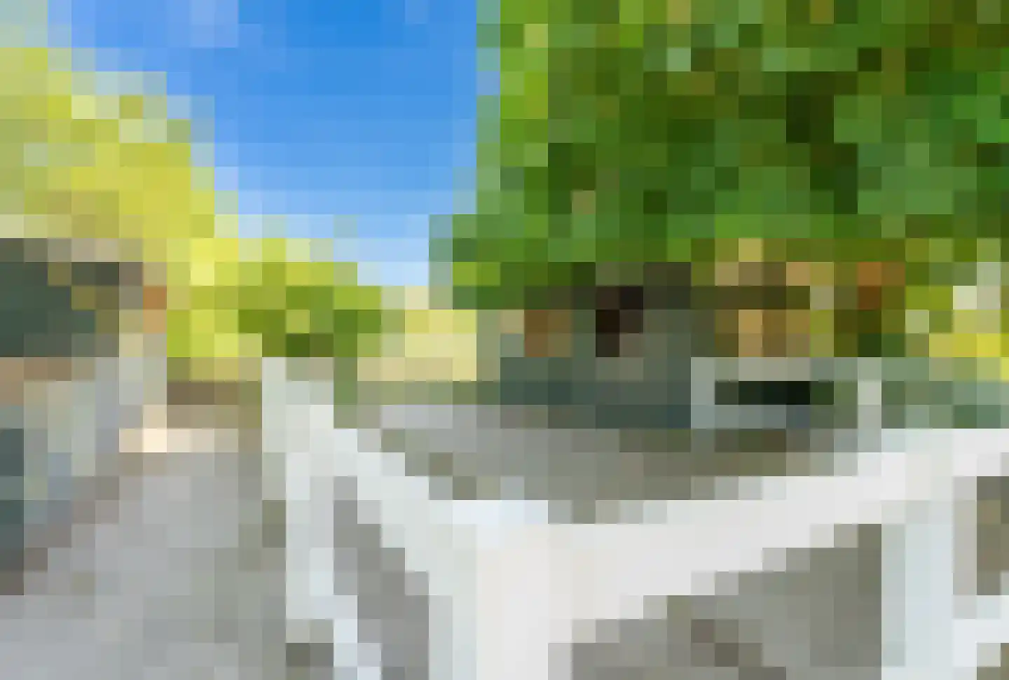 Kraakweg 2 Zwartewaal thumbnail 54