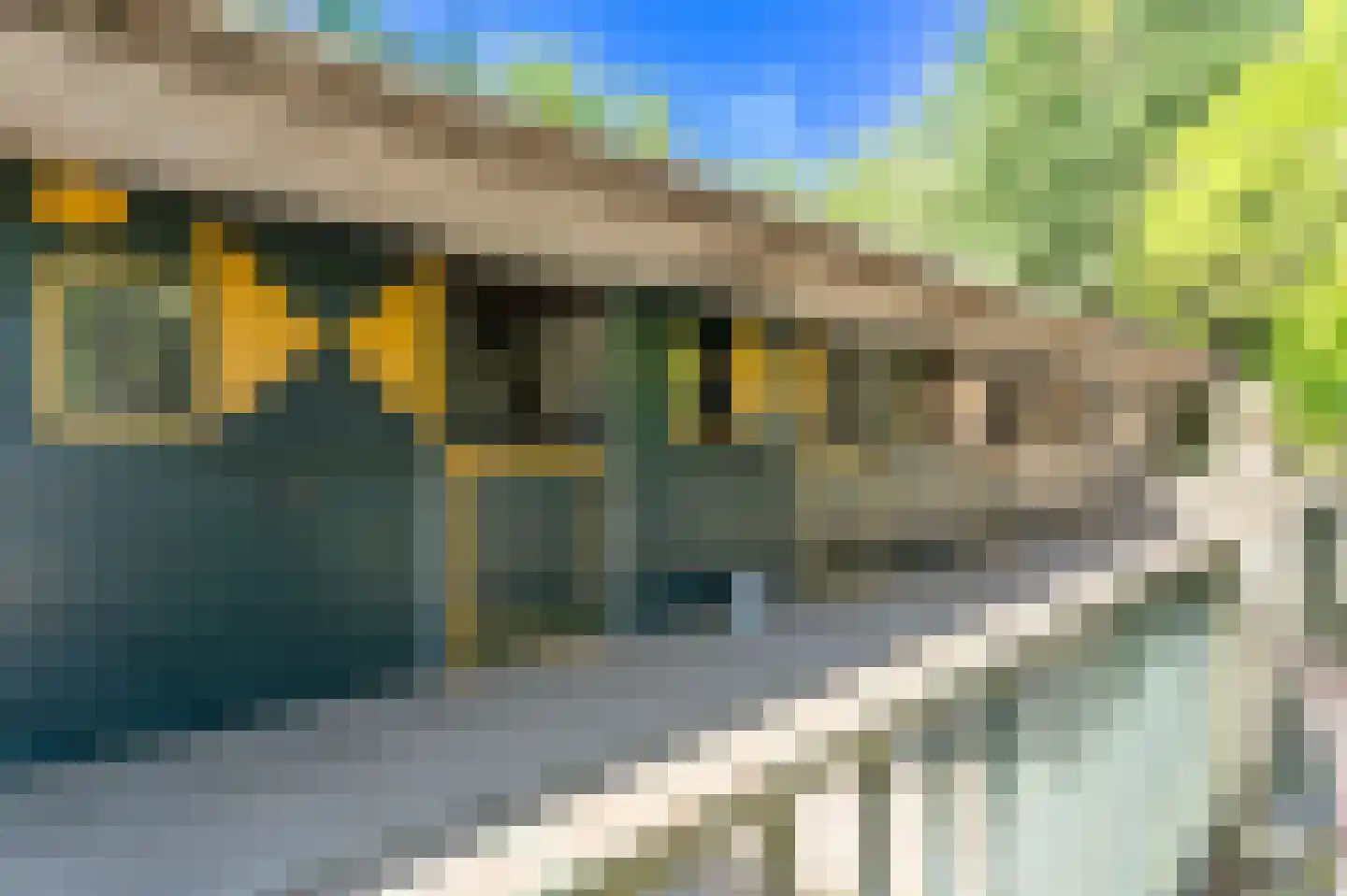 Kraakweg 2 Zwartewaal thumbnail 57