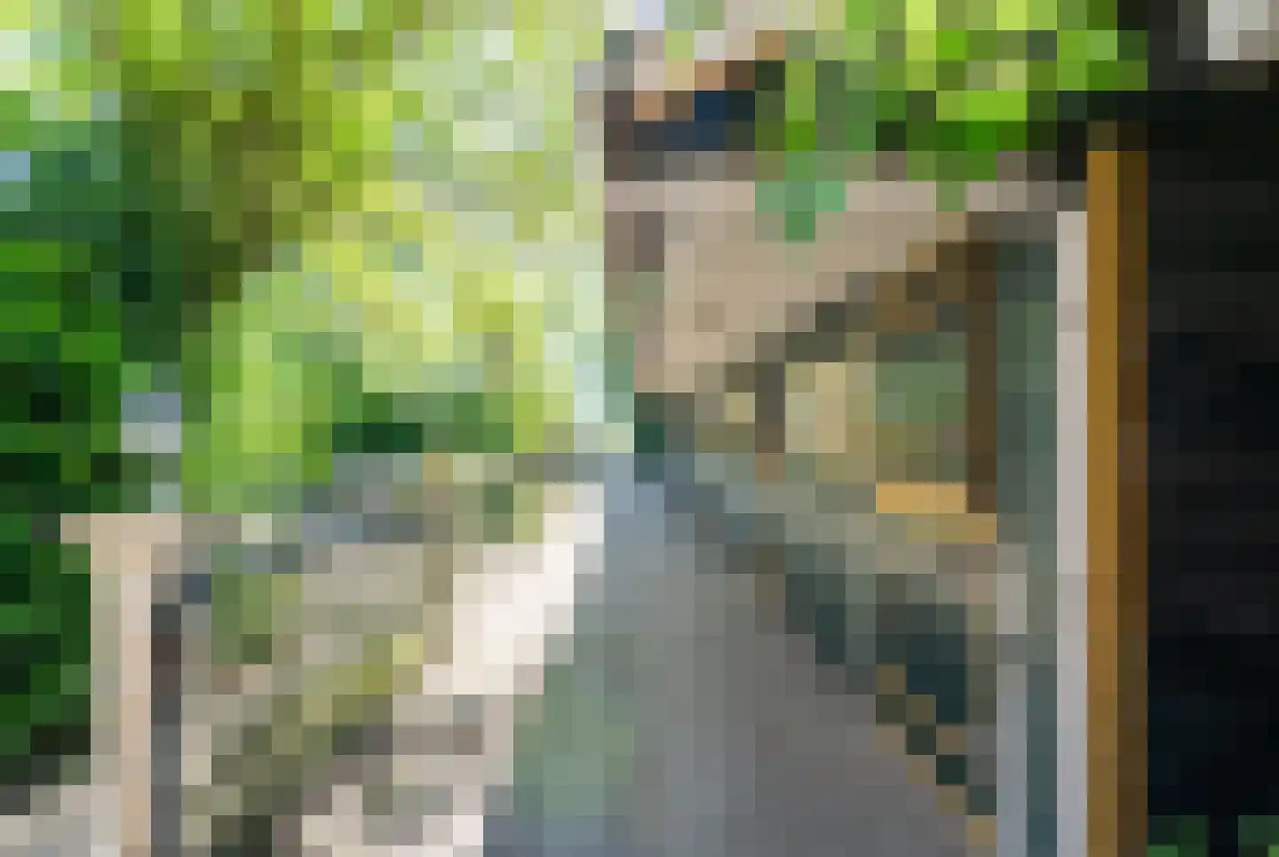 Kraakweg 2 Zwartewaal thumbnail 62