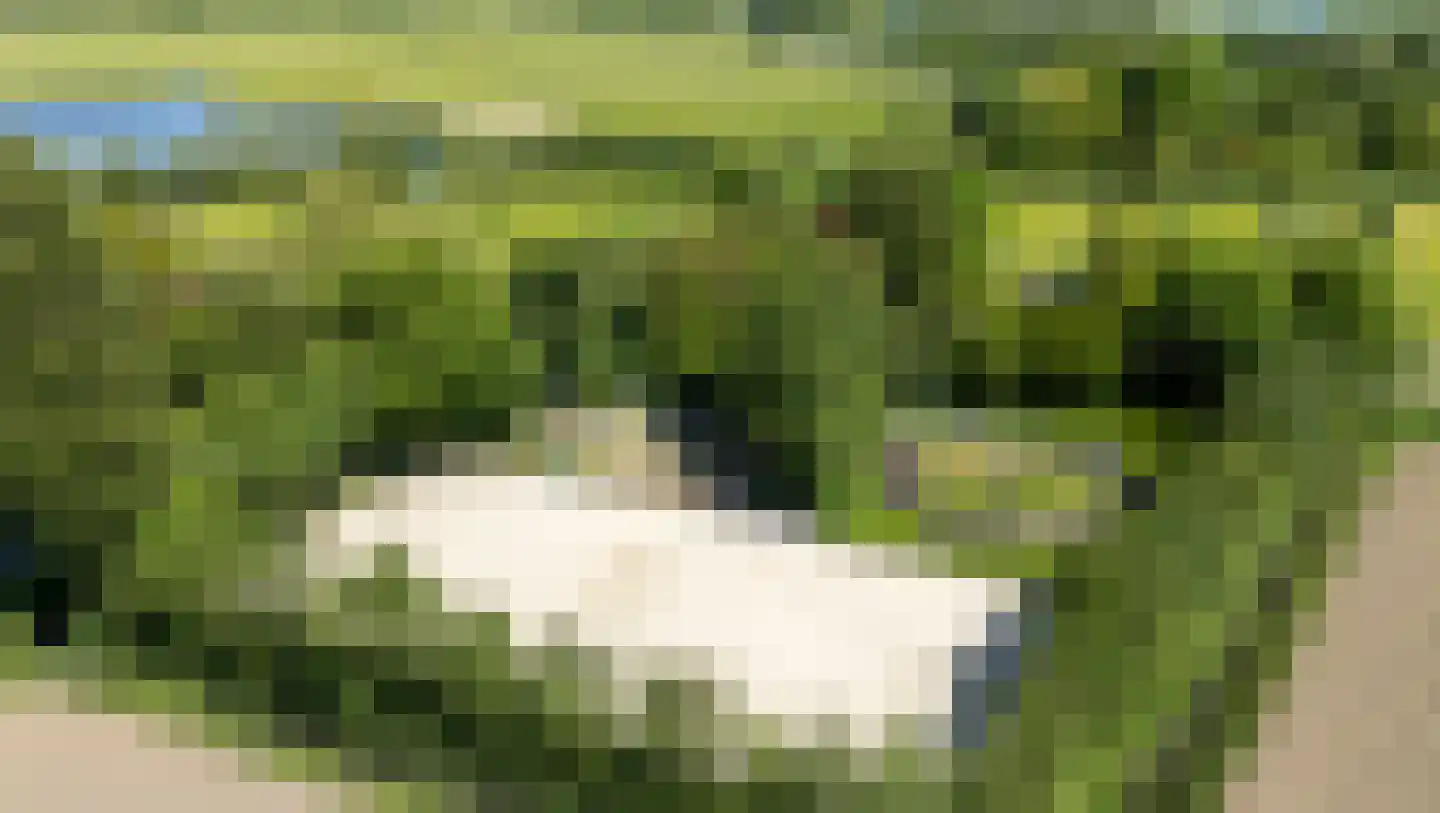 Kraakweg 2 Zwartewaal thumbnail 63