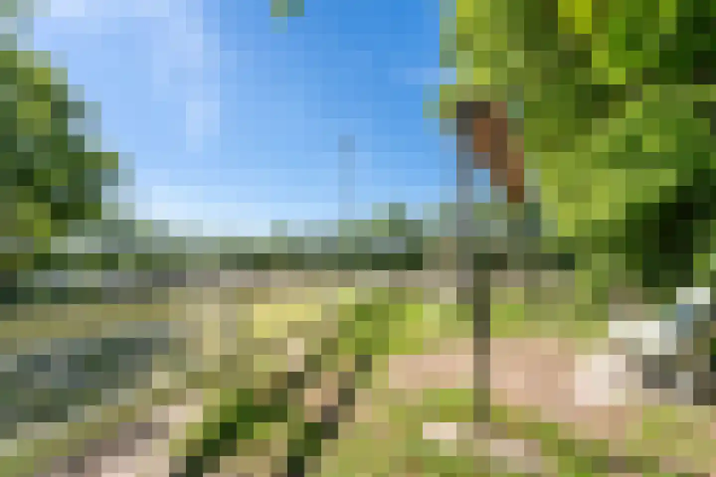 Kraakweg 2 Zwartewaal thumbnail 66