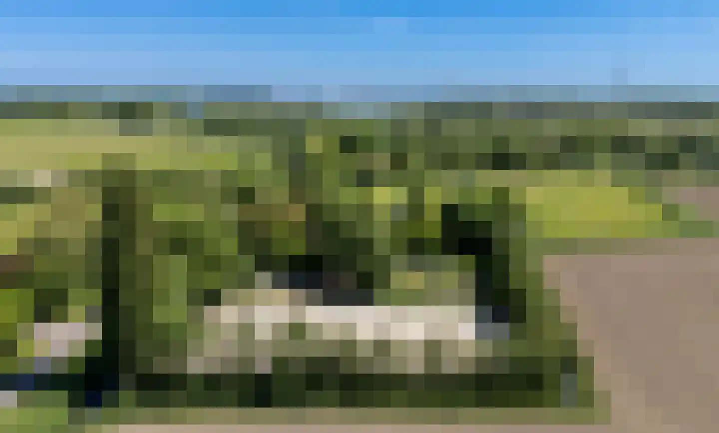 Kraakweg 2 Zwartewaal thumbnail 67