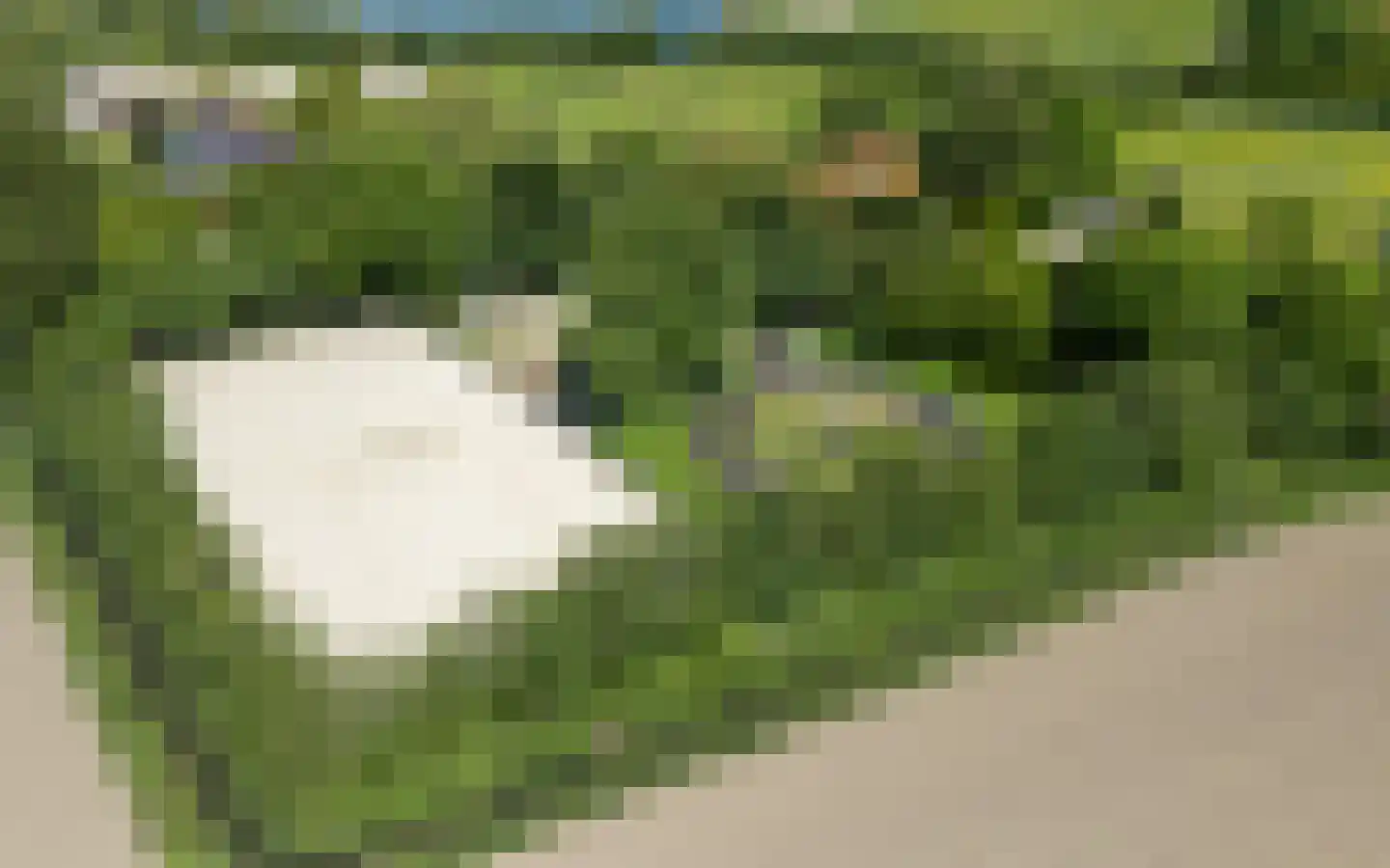 Kraakweg 2 Zwartewaal thumbnail 68