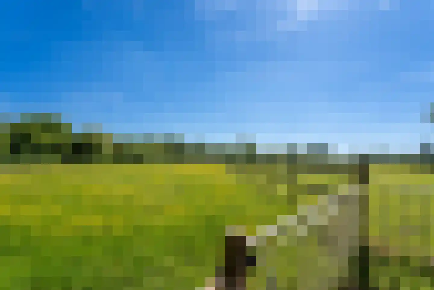 Kraakweg 2 Zwartewaal thumbnail 71