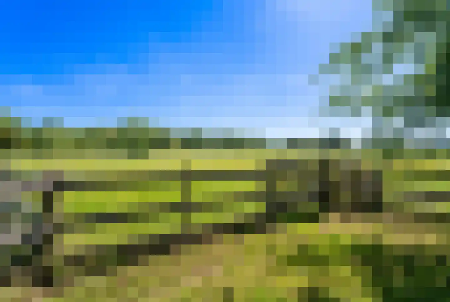 Kraakweg 2 Zwartewaal thumbnail 73