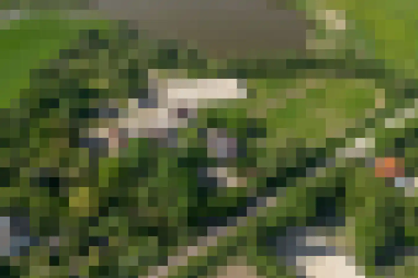 Kraakweg 3 in Zwartewaal
