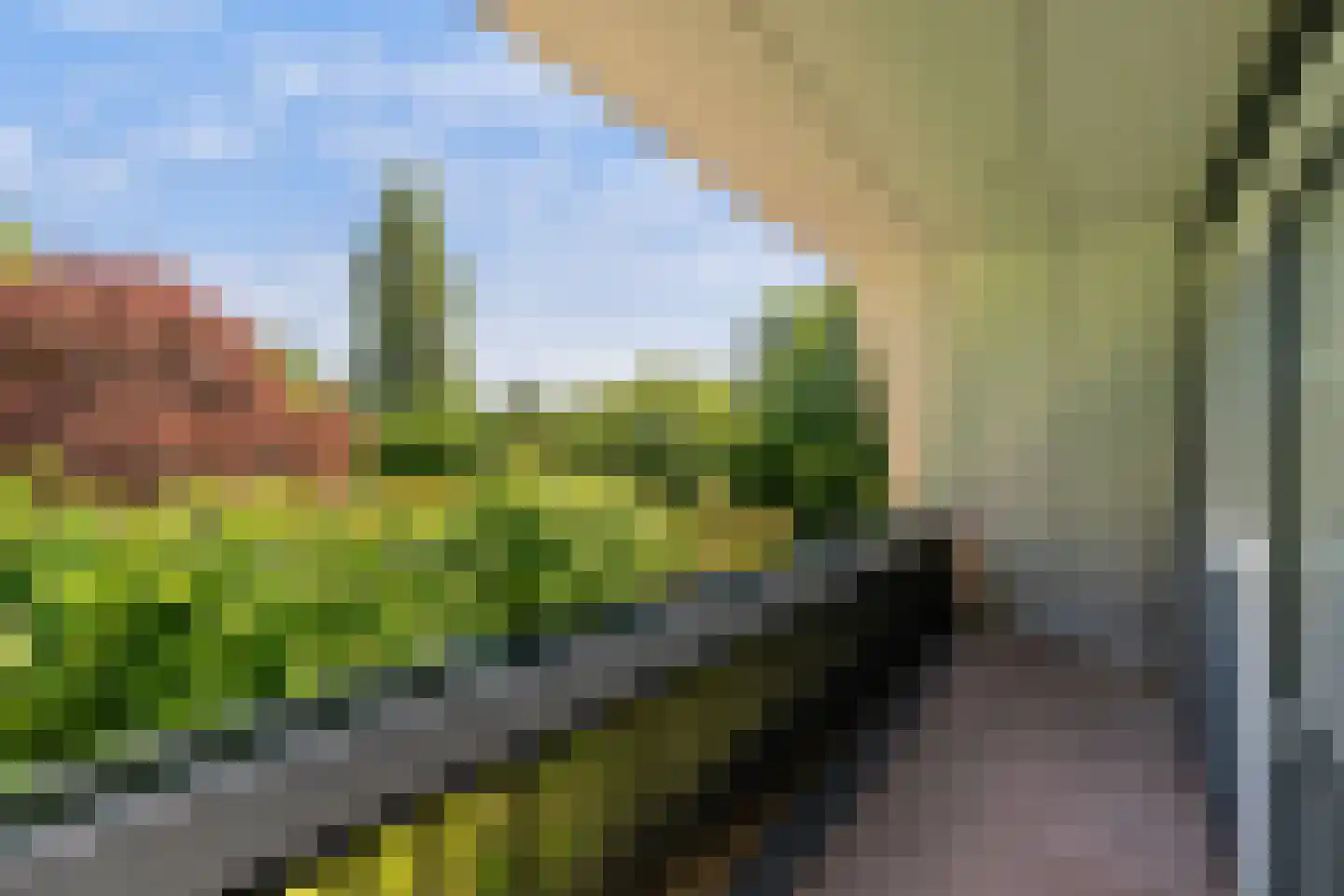 Kraakweg 3 Zwartewaal thumbnail 11