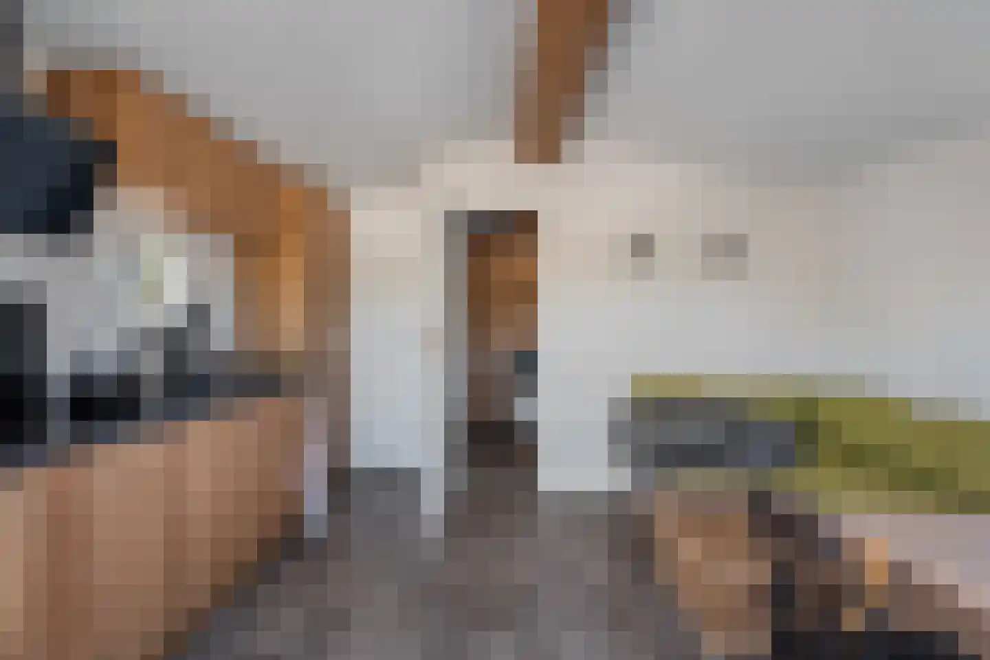 Kraakweg 3 Zwartewaal thumbnail 30