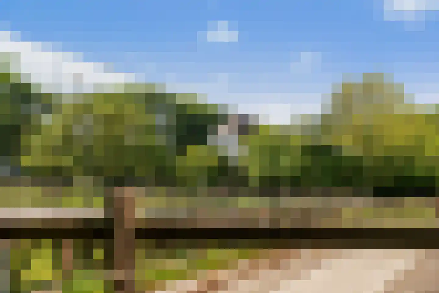 Kraakweg 3 Zwartewaal thumbnail 32
