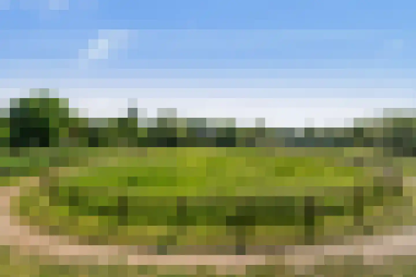 Kraakweg 3 Zwartewaal thumbnail 33