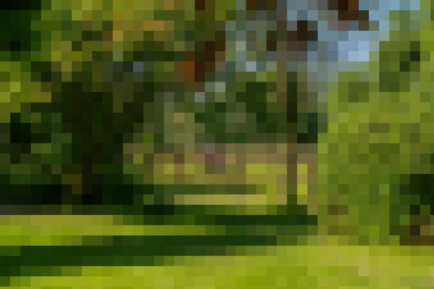 Kraakweg 3 Zwartewaal thumbnail 36