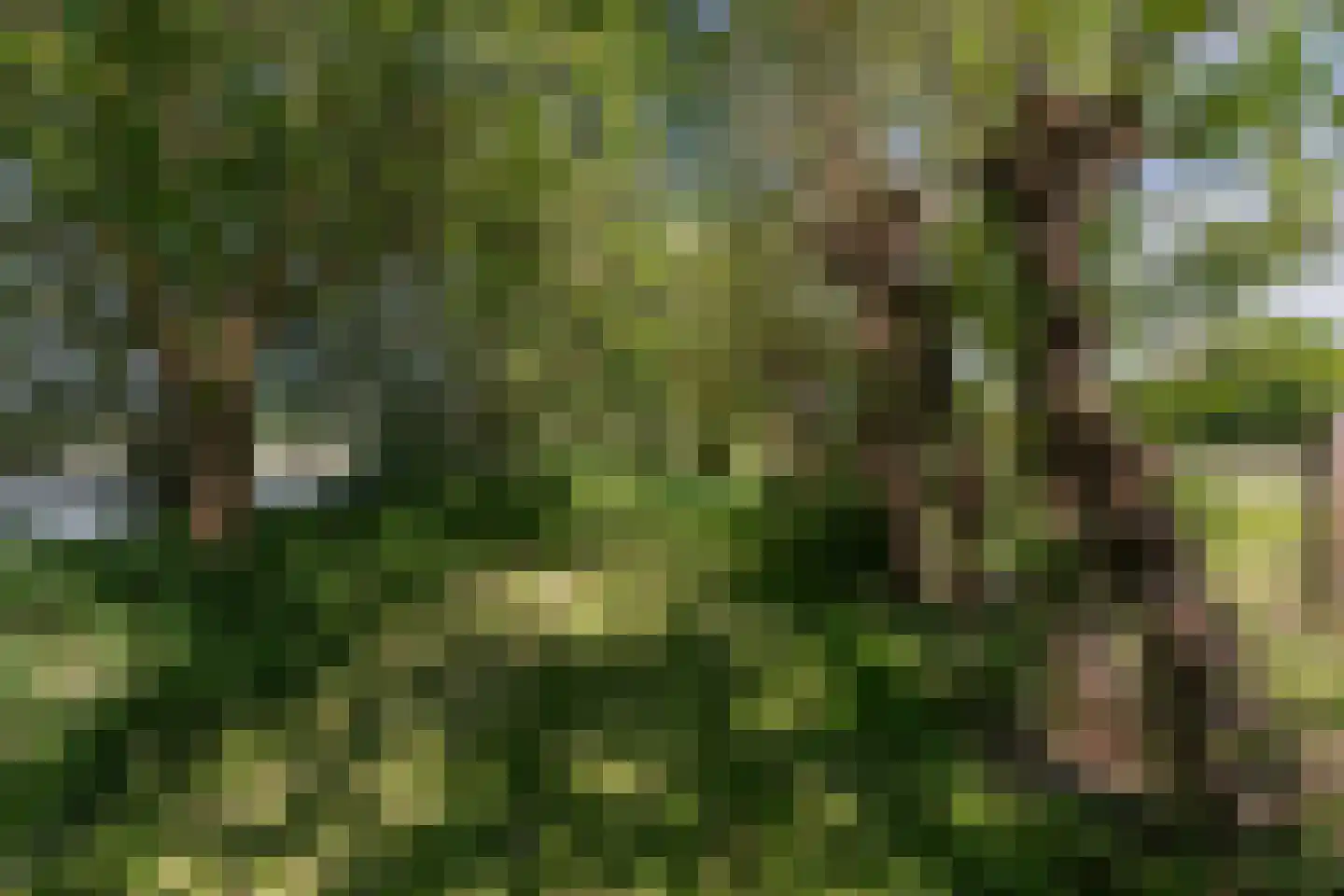 Kraakweg 3 Zwartewaal thumbnail 39