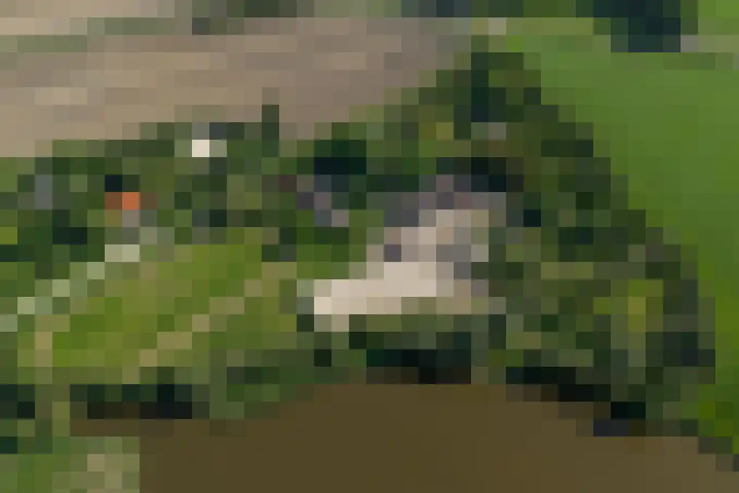Kraakweg 3 Zwartewaal thumbnail 40