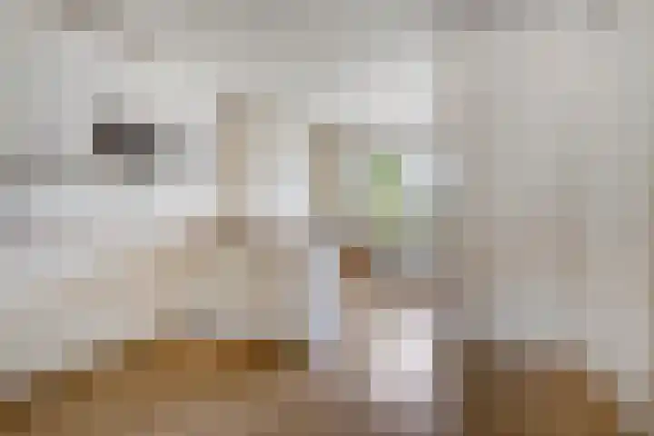 Kraakweg 4 Putten thumbnail 16